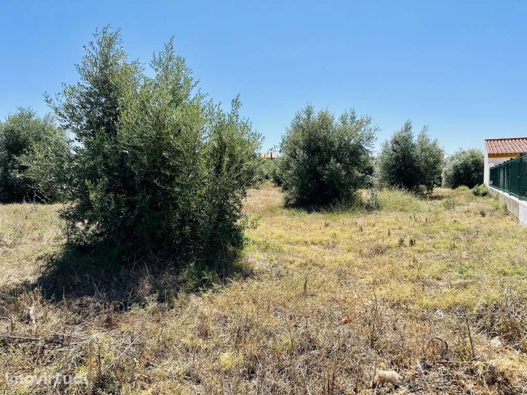 Terreno - Grande imagem: 5/7