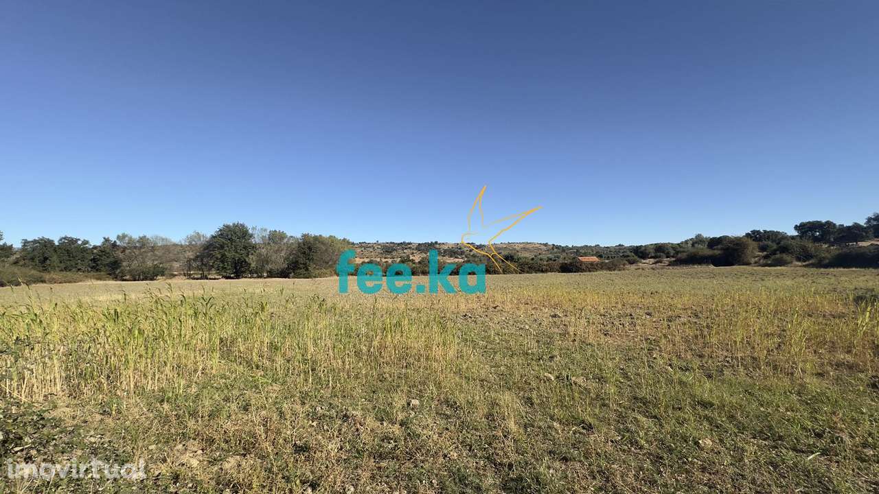 Terreno c/ Construção Rural - Grande imagem: 5/29