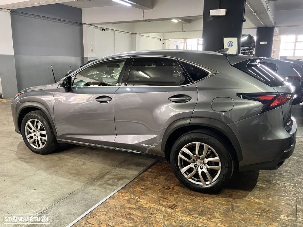 Lexus NX 300h Executive Plus - 8