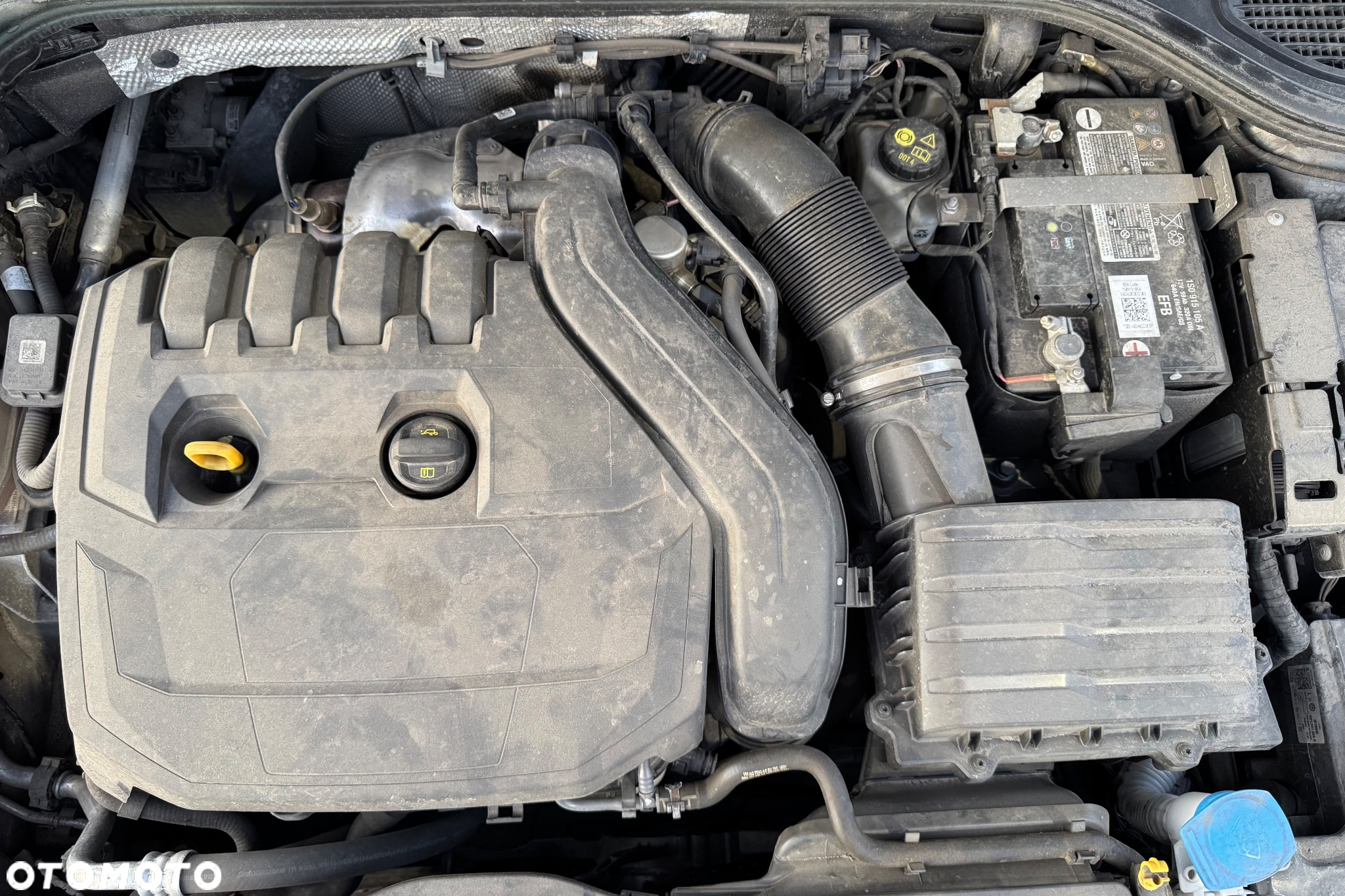 Volkswagen Golf VIII 1.5 TSI EVO Life - 28