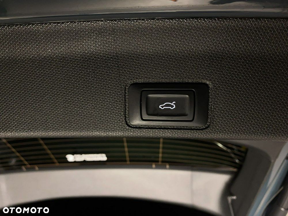 Cupra Terramar - 20