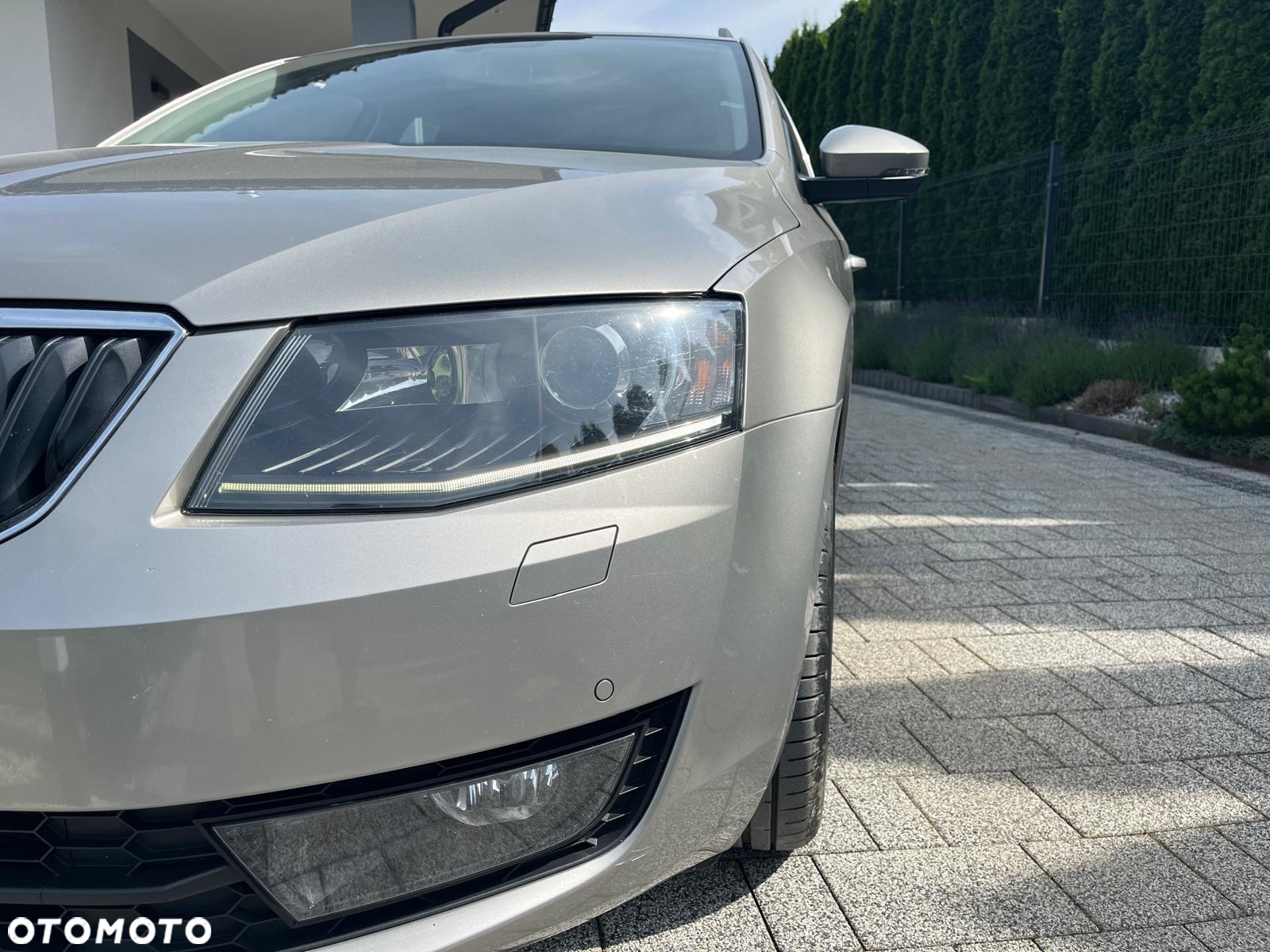 Skoda Octavia 2.0 TDI 4x4 Style - 7