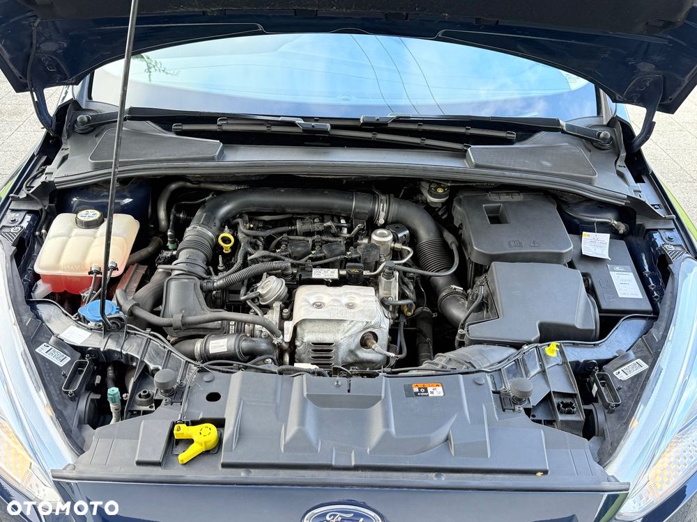 Ford Focus - 18