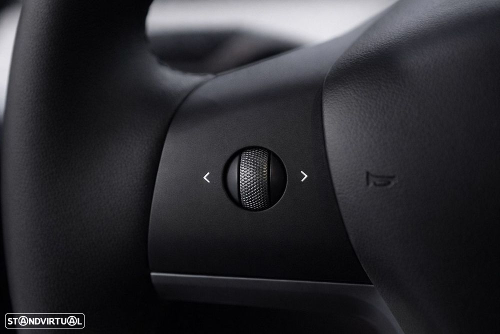 Tesla Model Y Standard RWD - 24