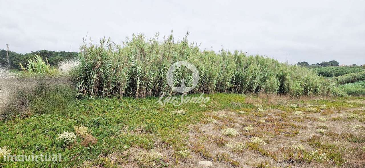 Lote para moradia c/903m2 na 1ª Linha de Praia em Vila do Conde - Grande imagem: 5/12