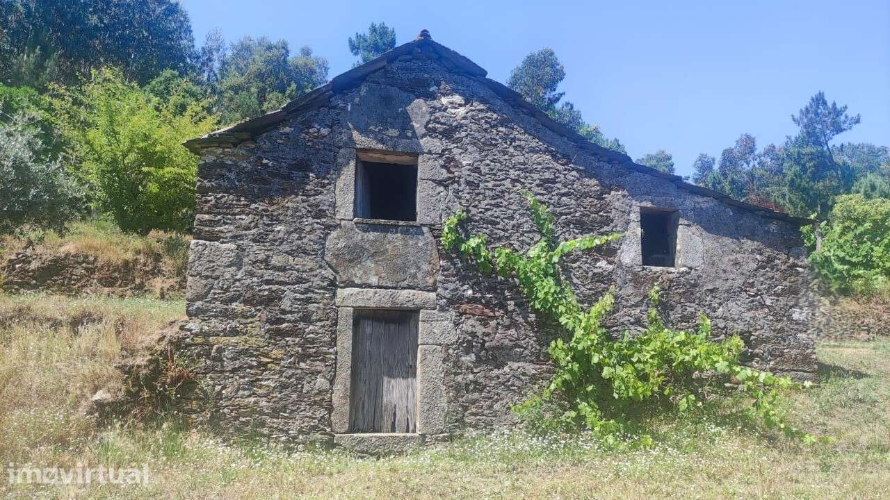 Casa/ Ruína em S. Miguel do Mato - Grande imagem: 3/24