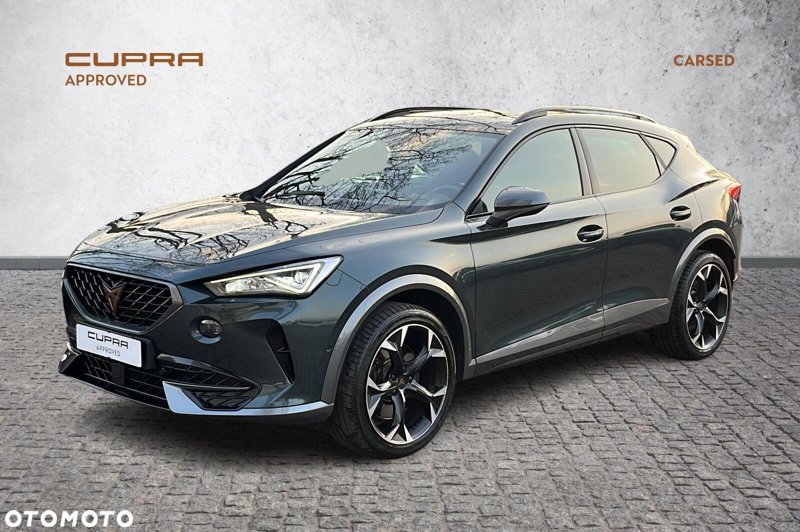 Cupra Formentor 2.0 TSI 4Drive VZ DSG - 1