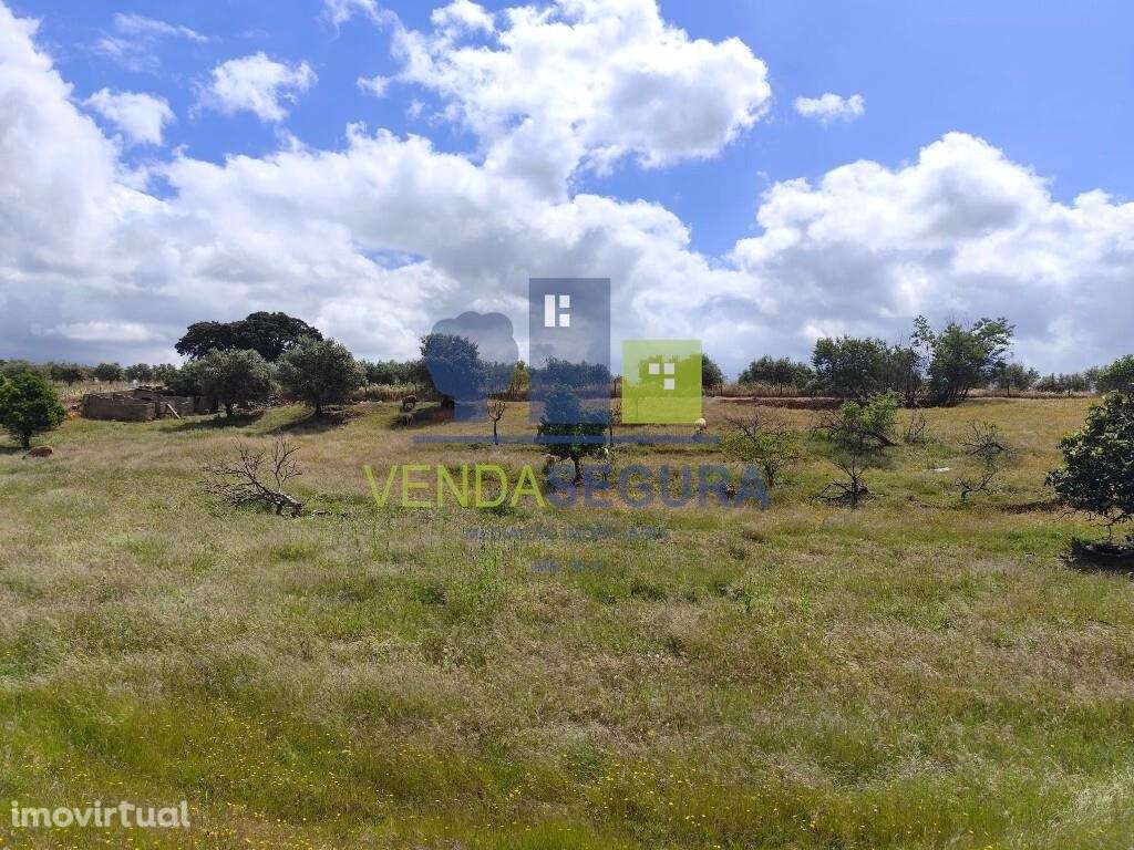 2 Terrenos Rústicos 0,6 Ha | Sobral da Adiça - Grande imagem: 3/9