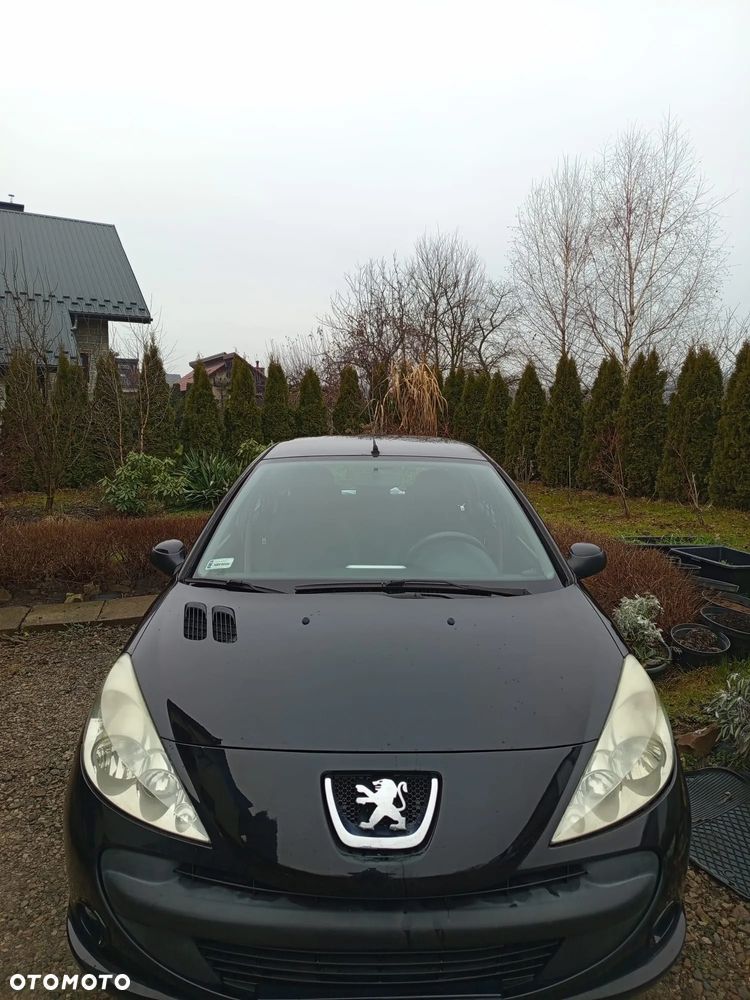 Peugeot 206 plus - 1