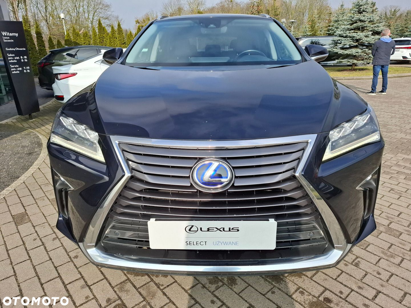 Lexus RX - 8