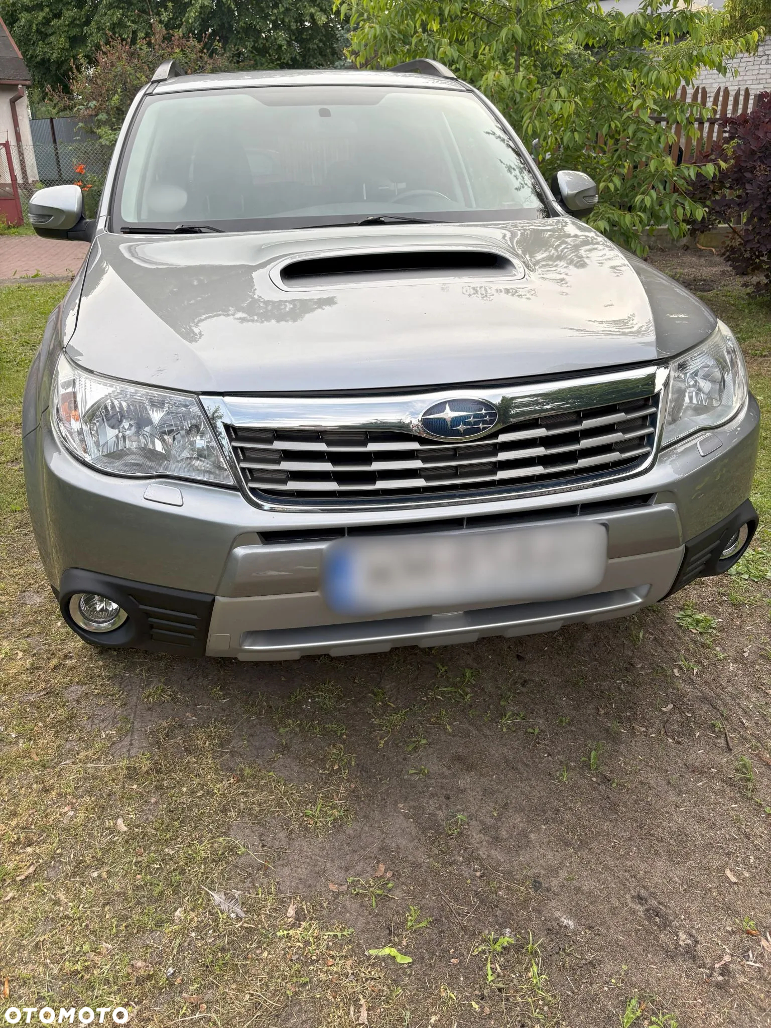 Subaru Forester - 3