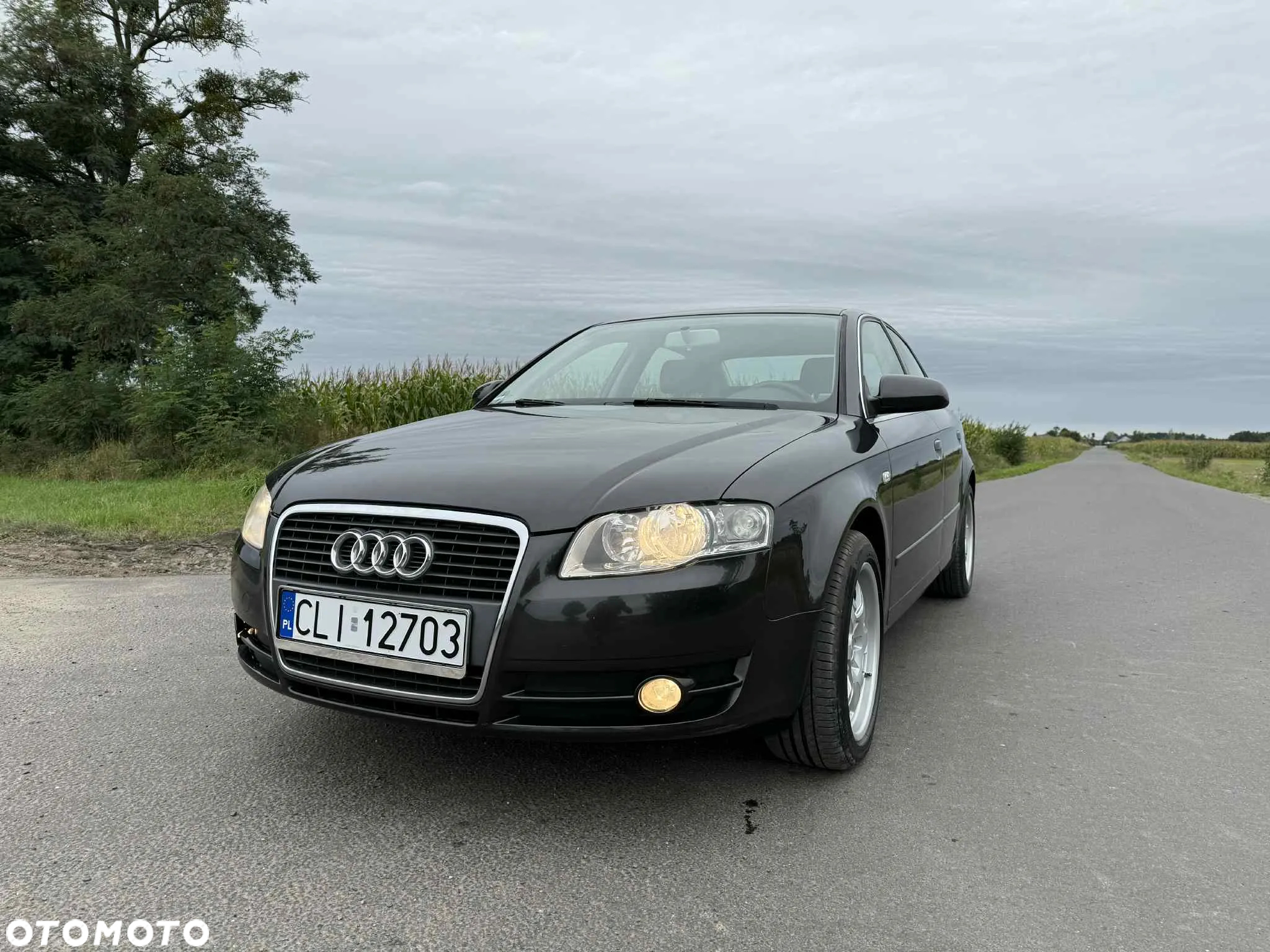 Audi A4 - 18