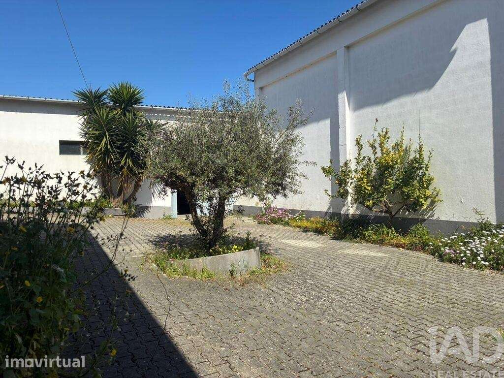 Casa / Villa T3 em Caldas da Rainha - Nossa Senhora do Pópulo, Coto e - Grande imagem: 3/13