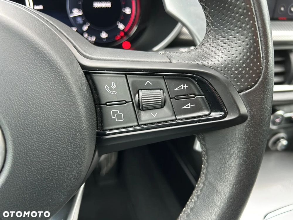 Alfa Romeo Stelvio 2.0 Turbo Veloce Q4 - 18