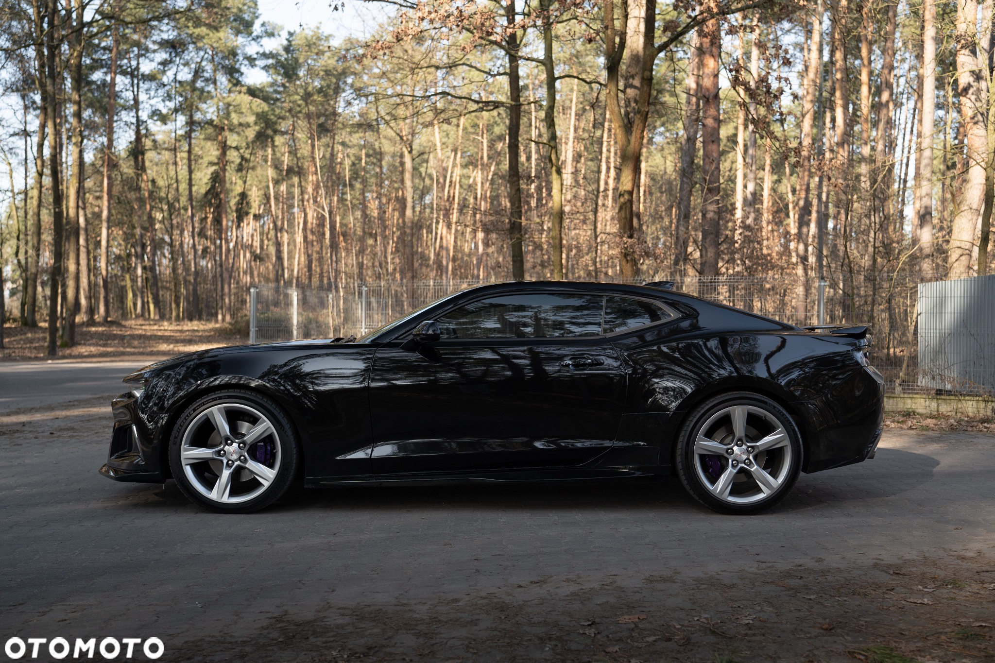 Chevrolet Camaro - 10
