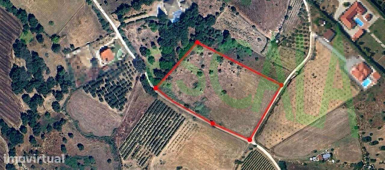 Terreno para construção de Quinta no Ribatejo - Grande imagem: 5/54