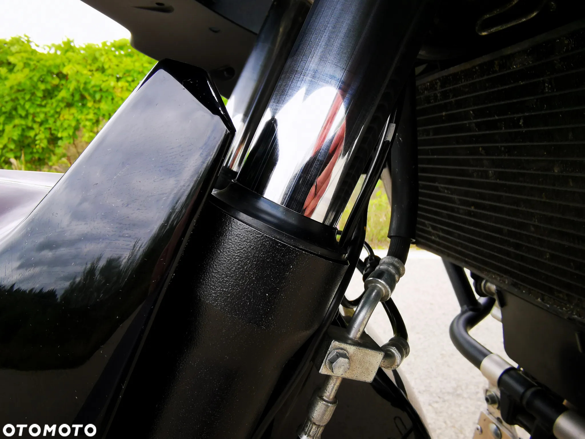 Suzuki DL - 17