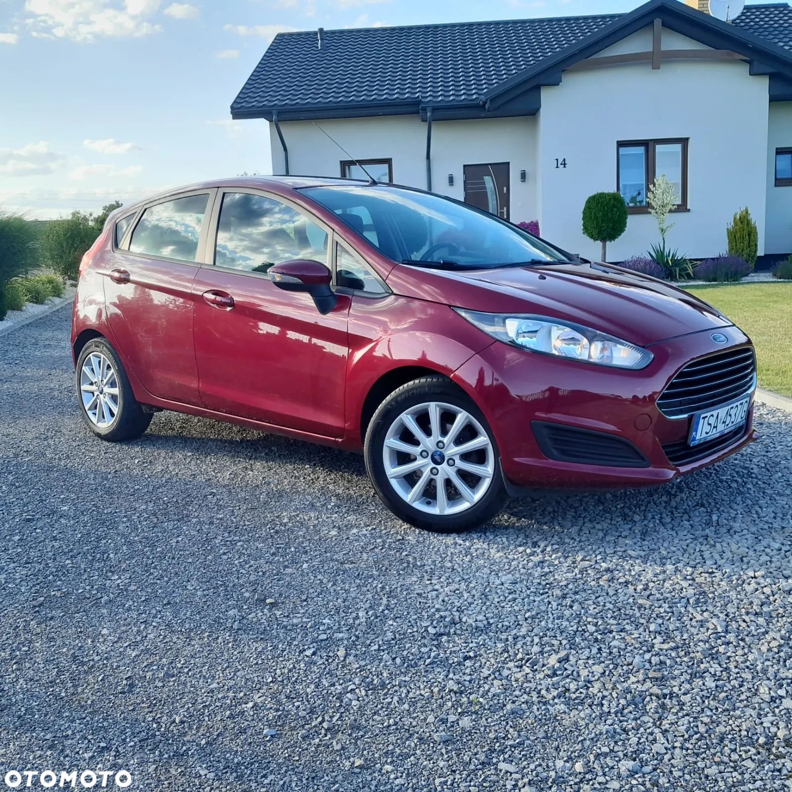 Ford Fiesta - 1