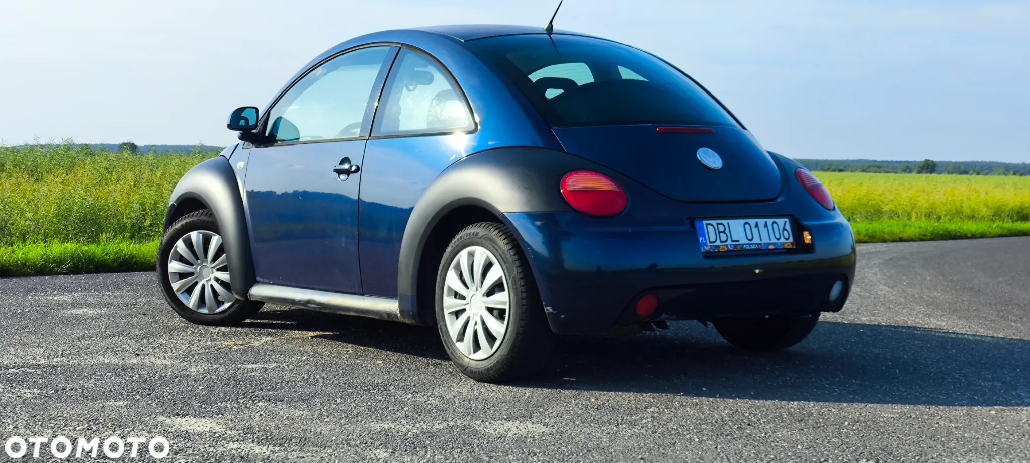 Volkswagen New Beetle - 5