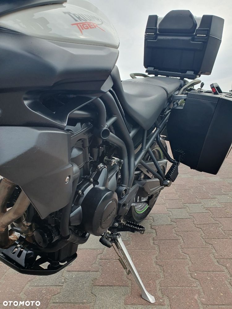 Triumph Tiger - 6
