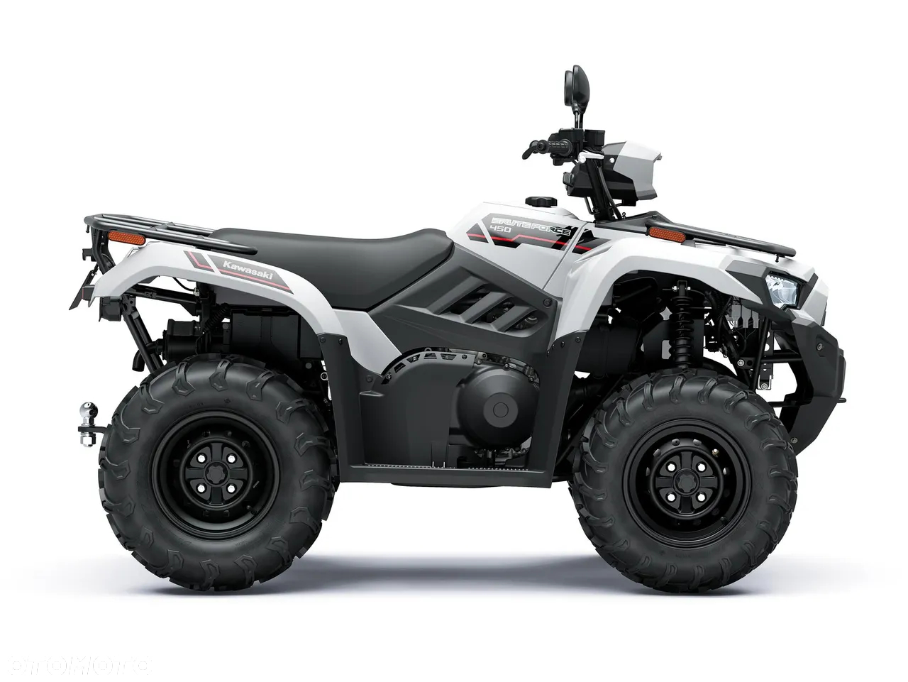 Kawasaki Brute Force - 3