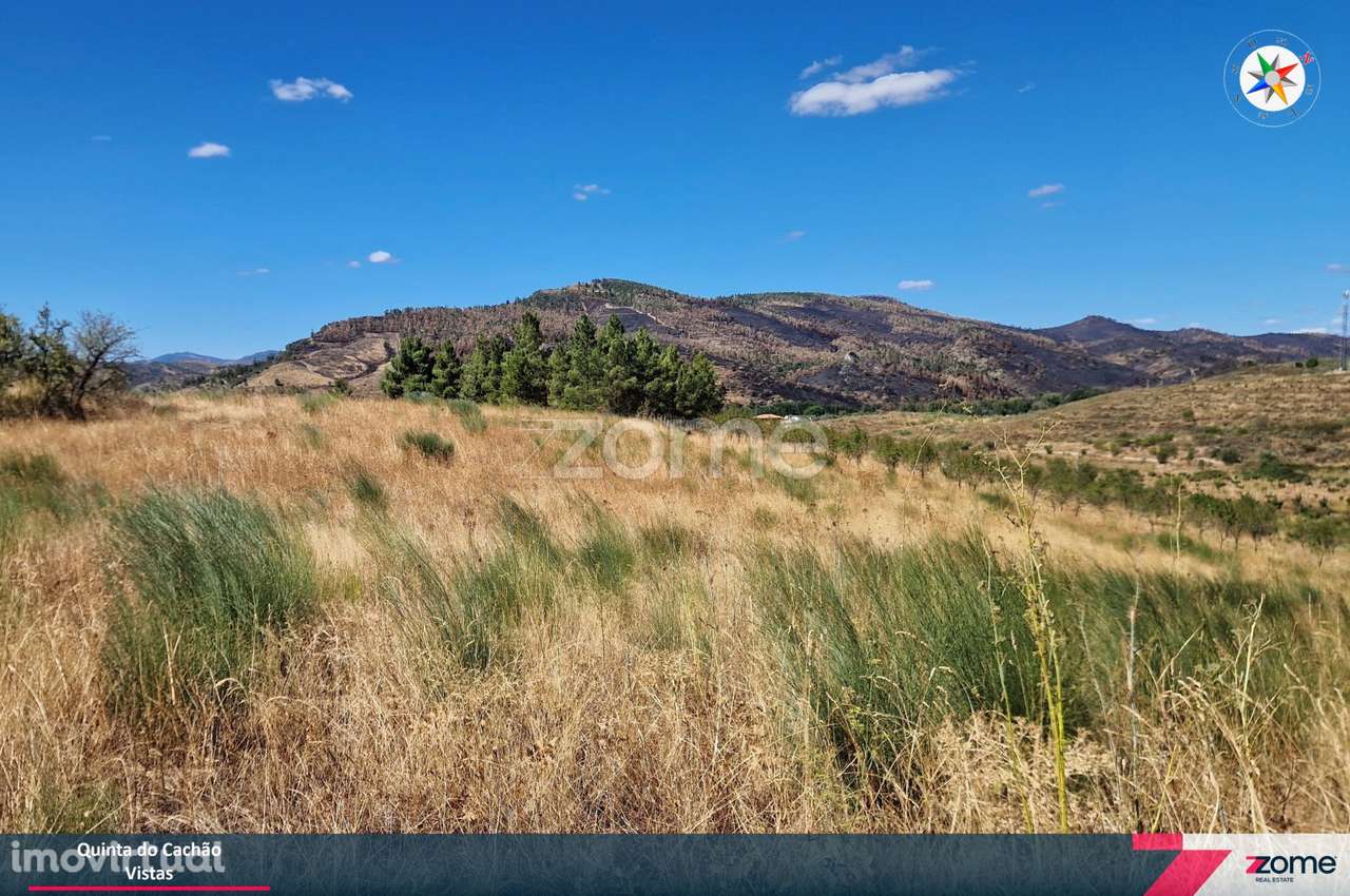 Quinta do Cachão – Refúgio Agrícola no Vale do Tua - Grande imagem: 3/18