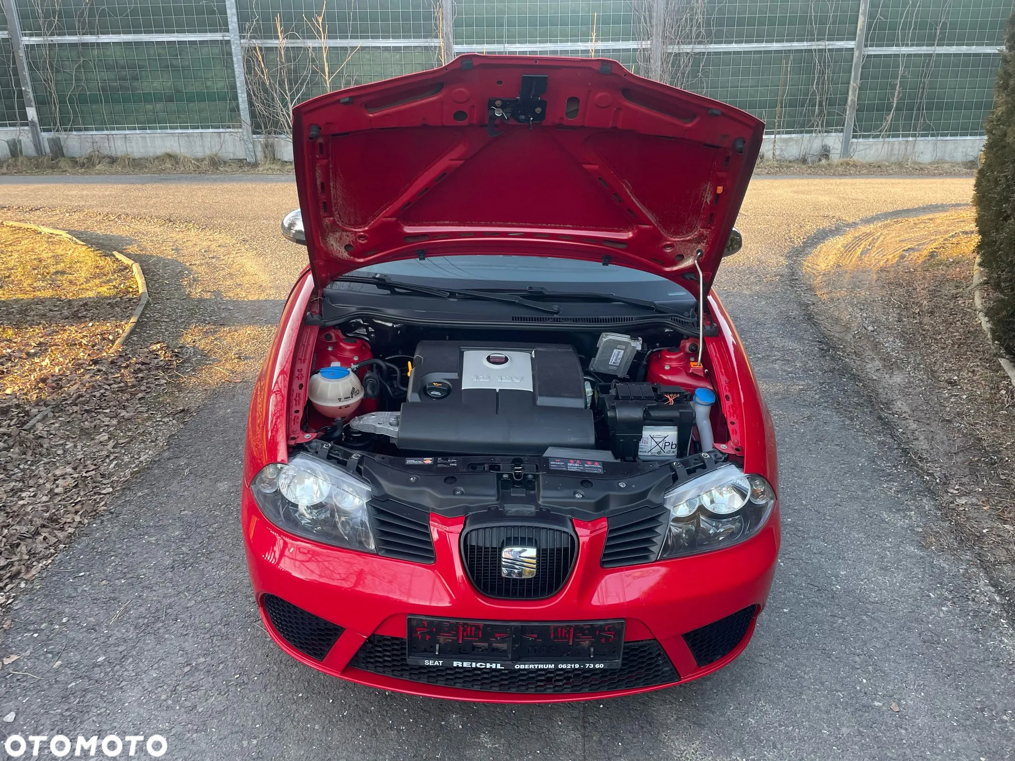 Seat Ibiza - 13