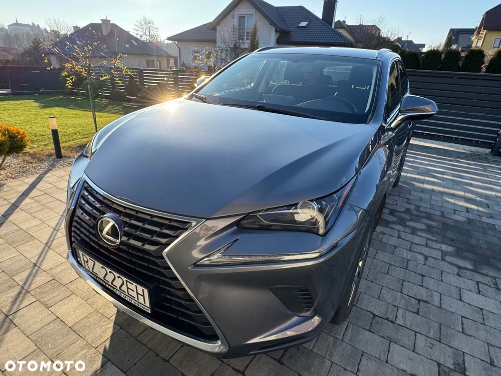 Lexus NX 300 Optimum AWD - 4