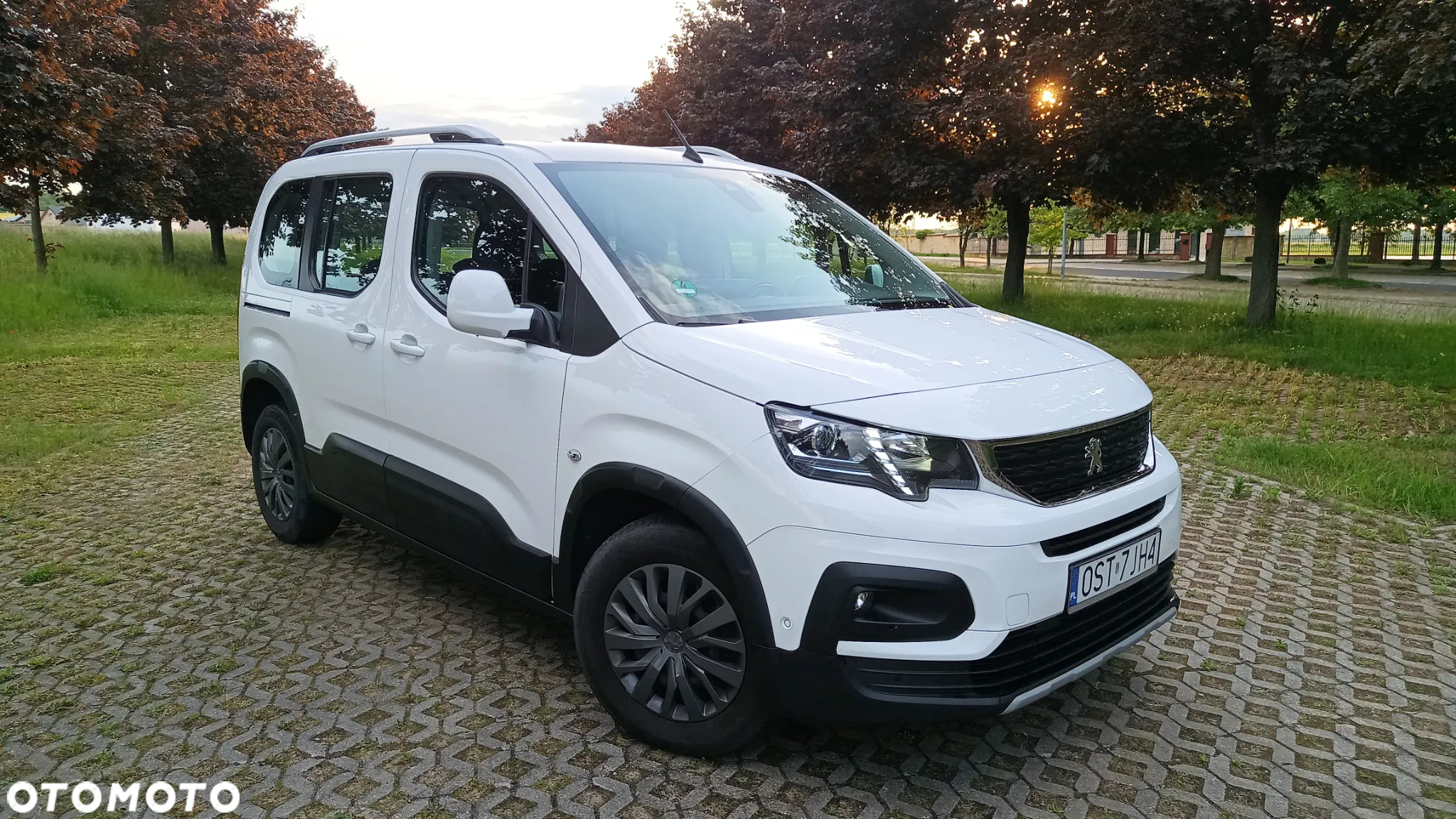 Peugeot Rifter 1.5 BlueHDI Allure S&S - 9