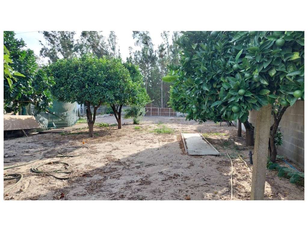 Terreno Venda Leiria - Grande imagem: 4/9