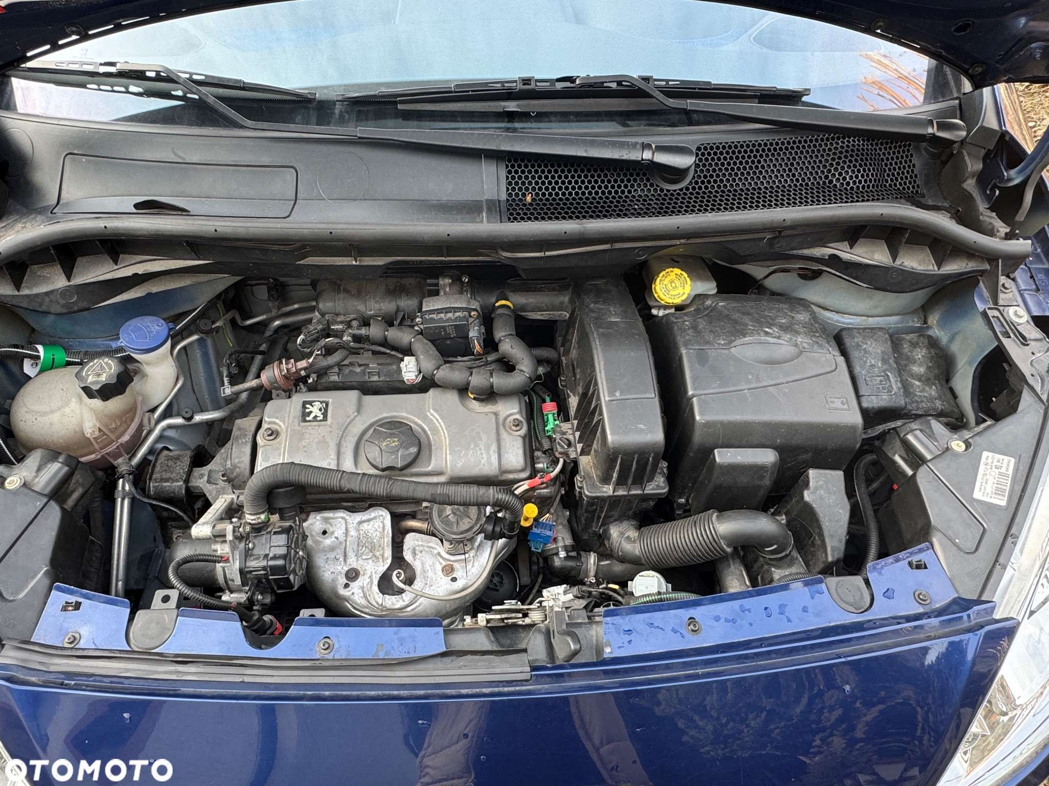 Peugeot 1007 75 Filou - 12