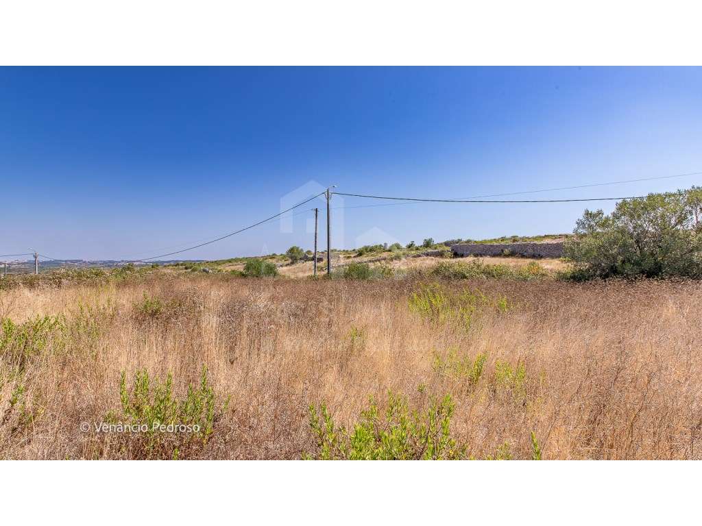 Vende Terreno - Ericeira 13 km, A Casa das Casas - Grande imagem: 2/7