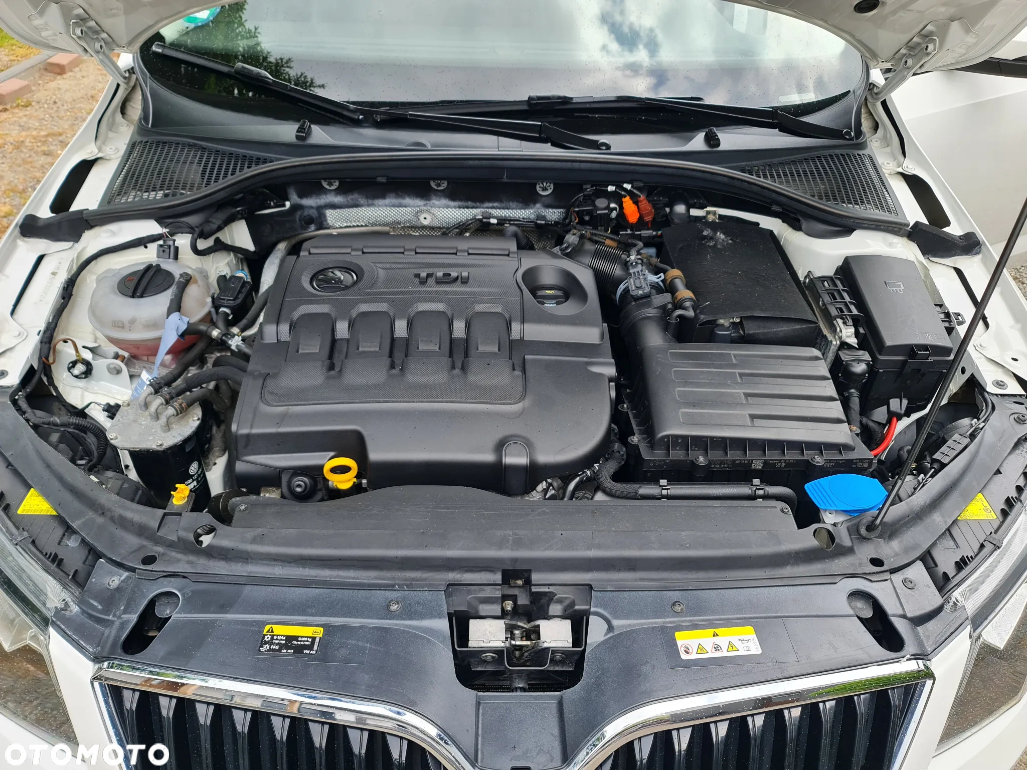 Skoda Octavia - 21