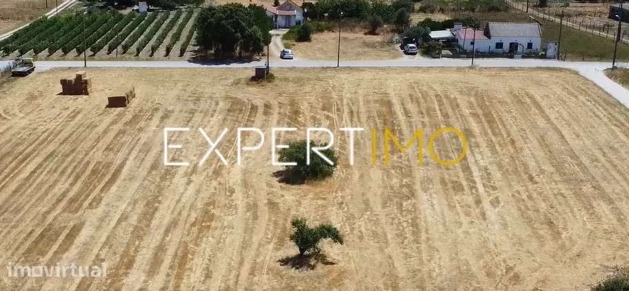 Terreno Rústico com 25.800 m² nas Lagameças, Palmela - Grande imagem: 5/8