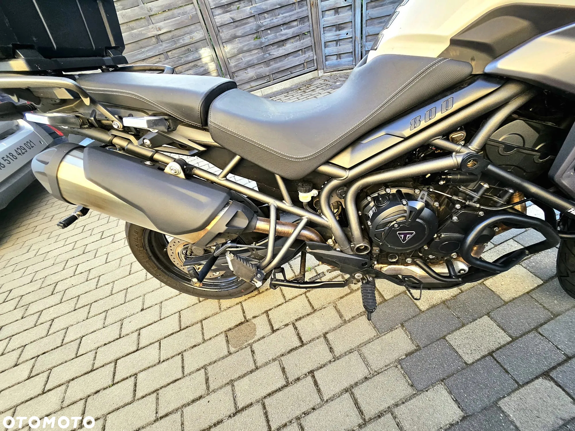 Triumph Tiger - 15