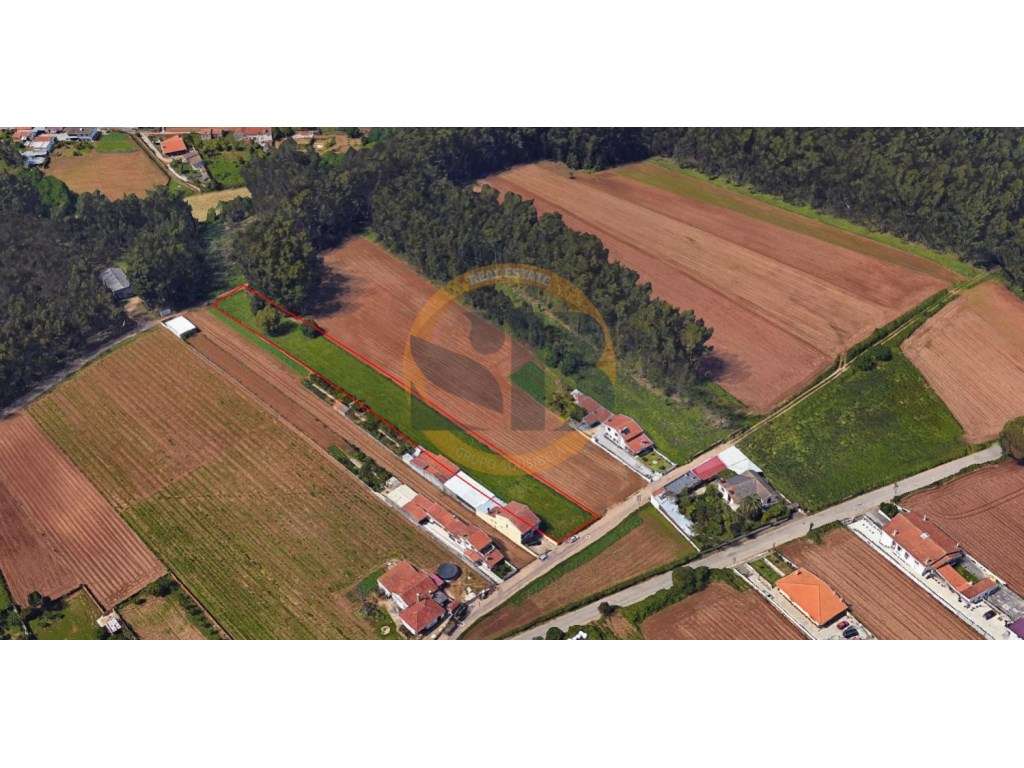 Vende se Terreno São João Ovar - Grande imagem: 2/3