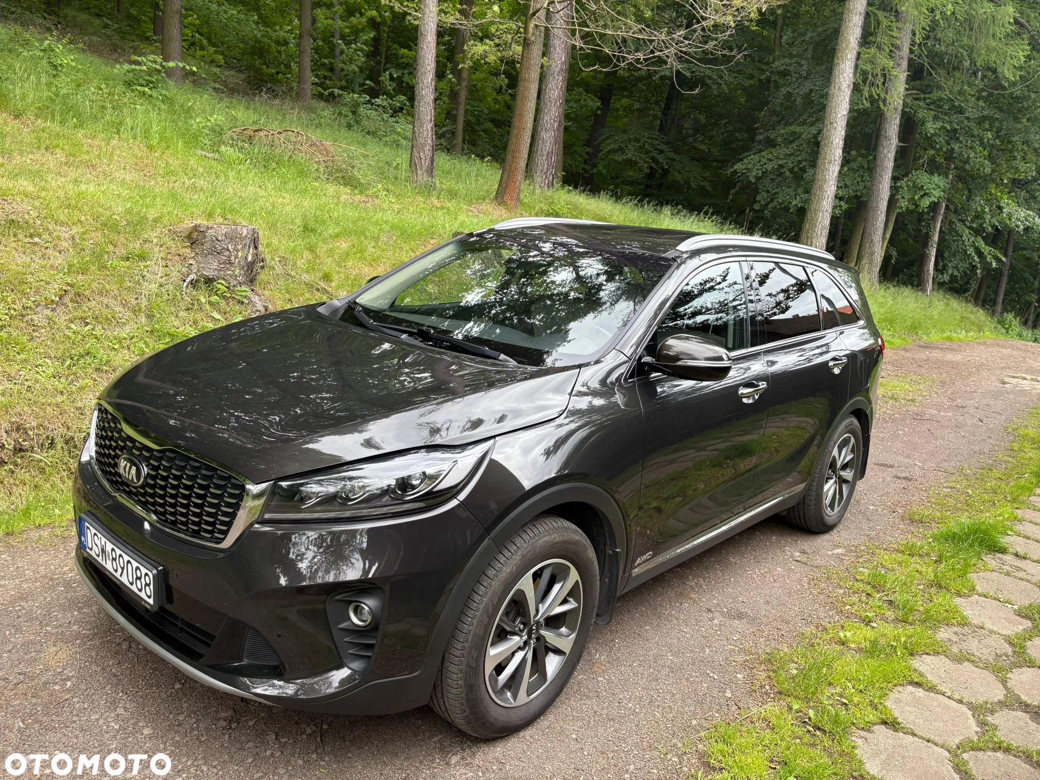 Kia Sorento 2.0 CRDI L - 19