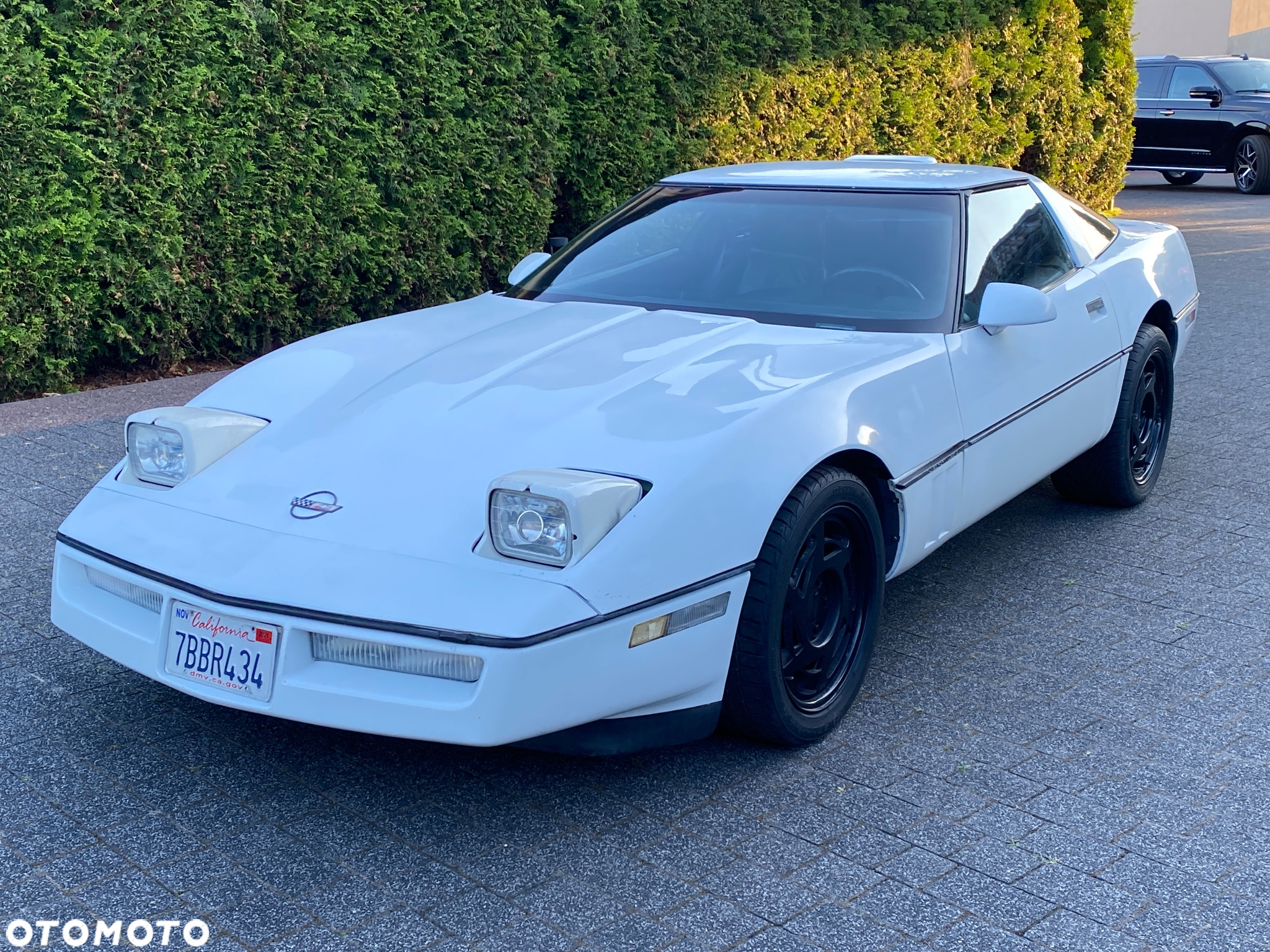 Chevrolet Corvette - 29