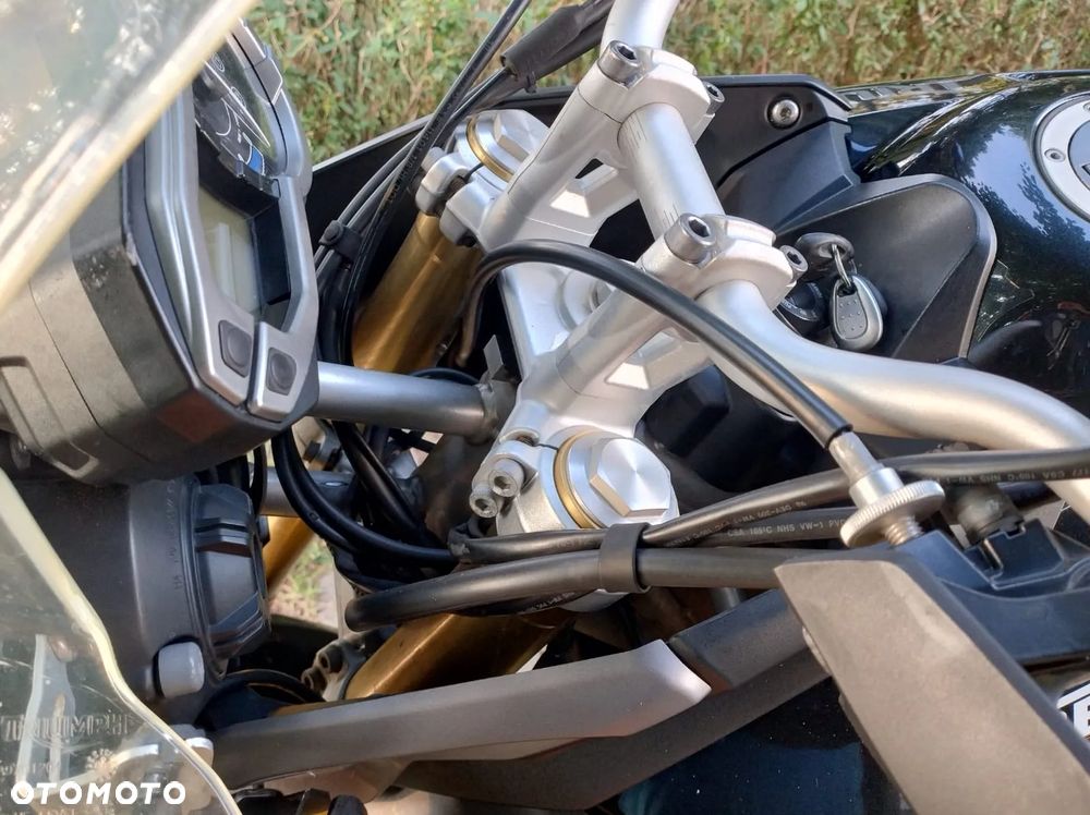 Triumph Tiger - 17