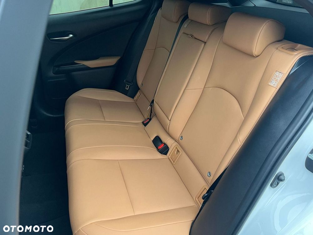 Lexus UX 250h GPF F Sport Design 2WD - 7
