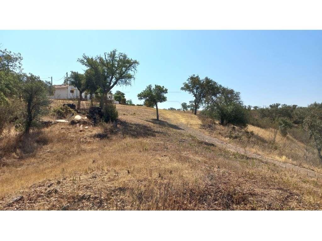 Herdade no Alentejo - Grande imagem: 5/30