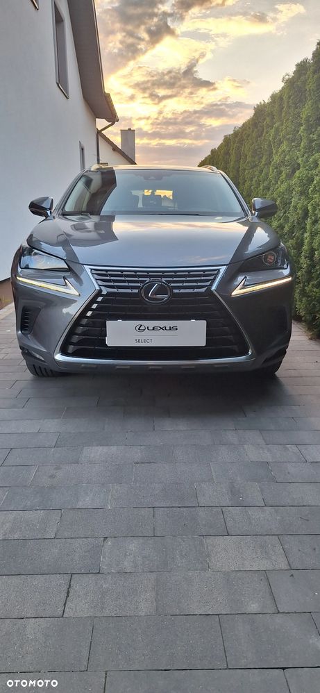 Lexus NX - 2