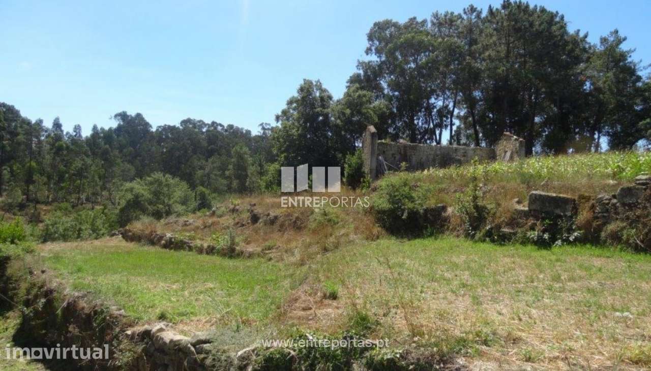 Venda de Moradia V3 para restauro, Gondifelos, Vila Nova de Famalicão - Grande imagem: 2/6