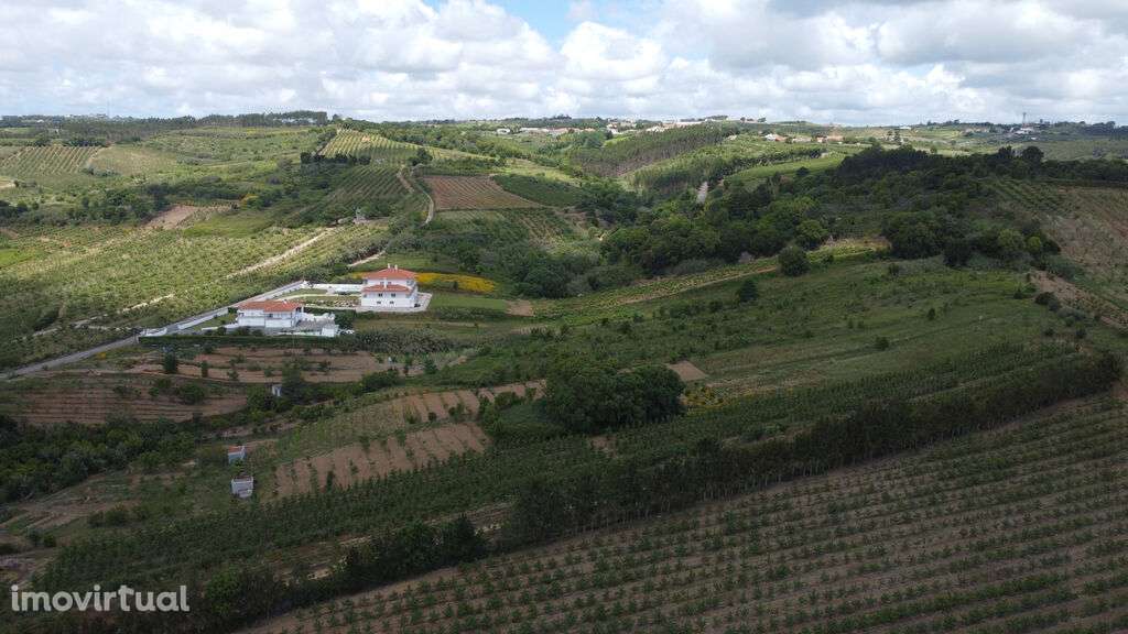 Venda Terreno - Grande imagem: 4/7