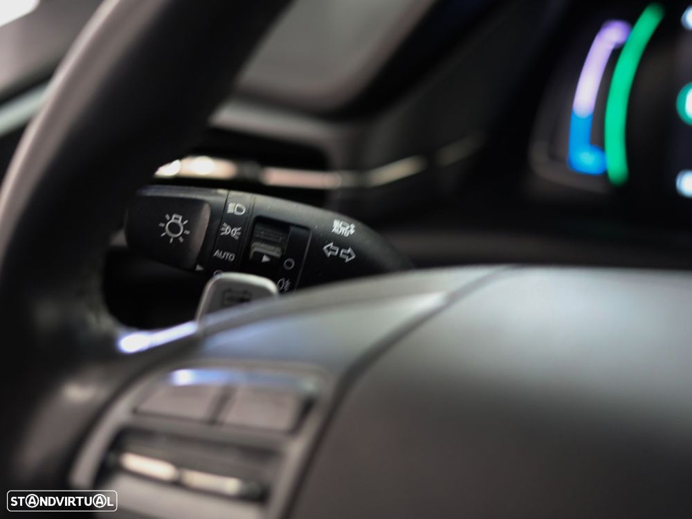 Hyundai Ioniq 38kWh Pack Pele - 15