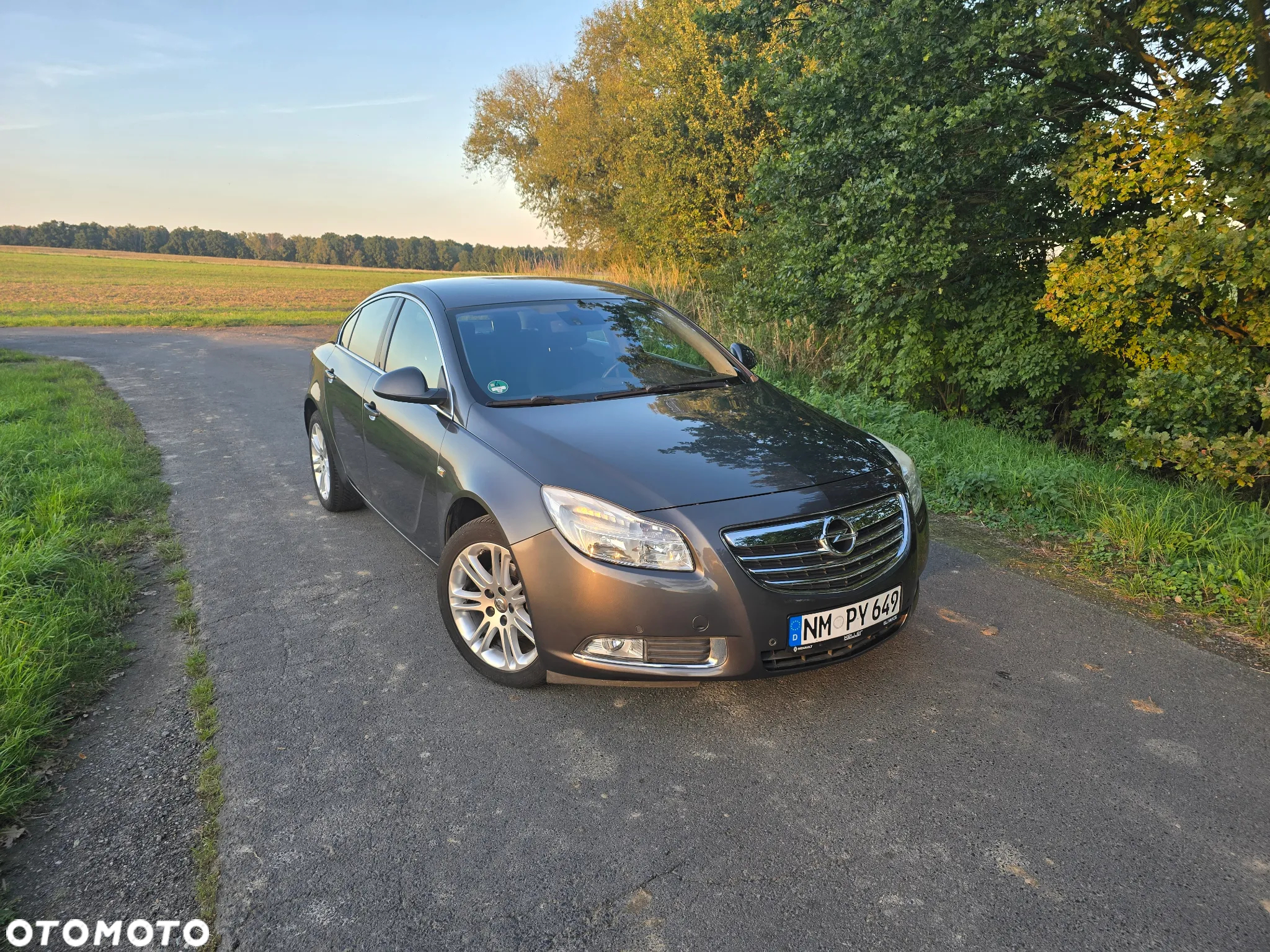 Opel Insignia 1.8 Executive - 19