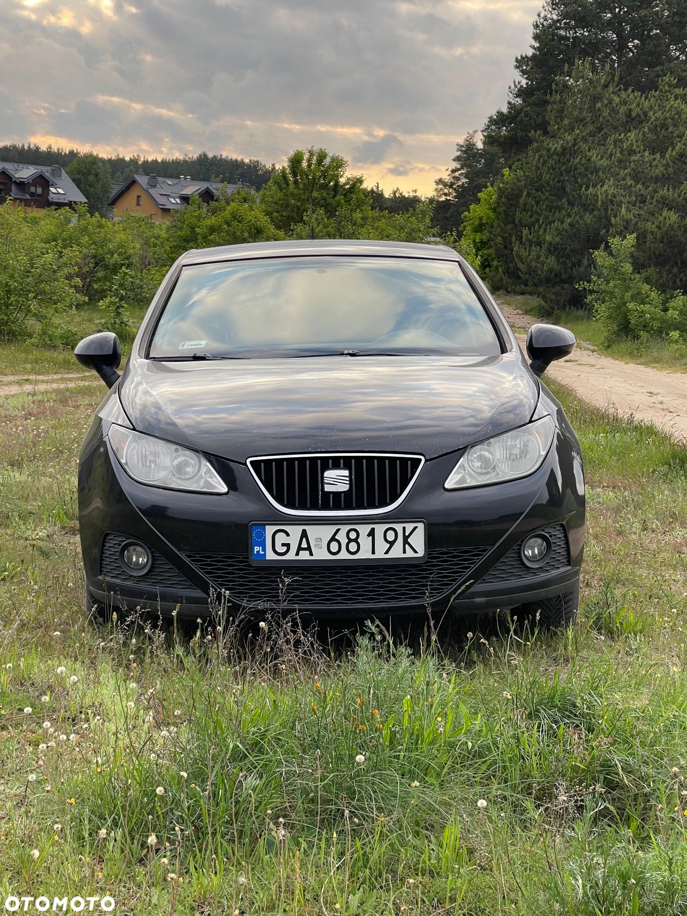 Seat Ibiza 1.4 16V Passion+ - 1