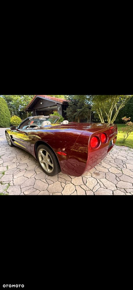 Chevrolet Corvette - 7