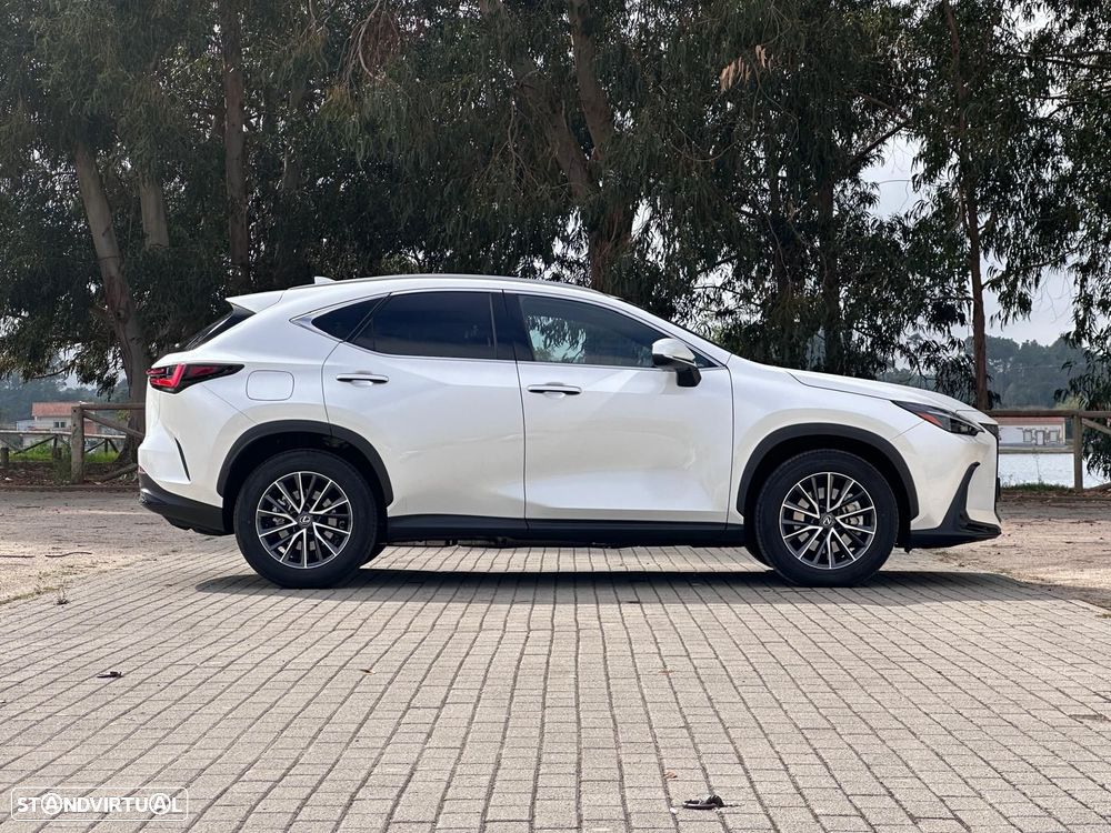 Lexus NX 450h+ - 14