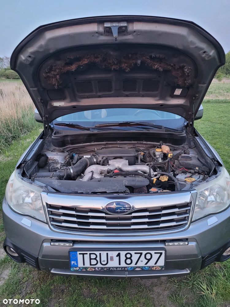 Subaru Forester 2.0 XA Euro5 - 3